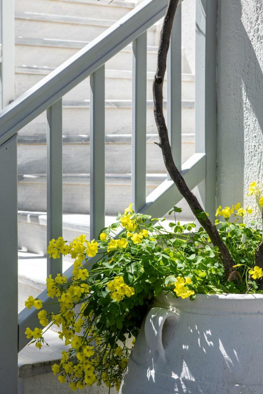 Secret Garden Apartments Mykonos Town Eksteriør bilde