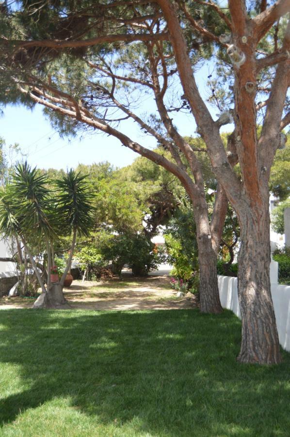 Secret Garden Apartments Mykonos Town Eksteriør bilde