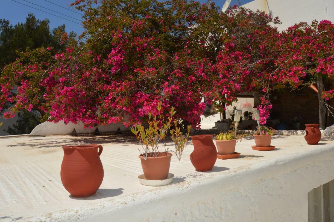 Secret Garden Apartments Mykonos Town Eksteriør bilde