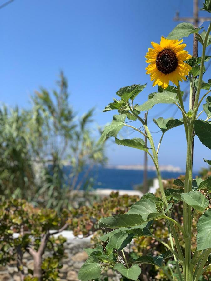 Secret Garden Apartments Mykonos Town Eksteriør bilde